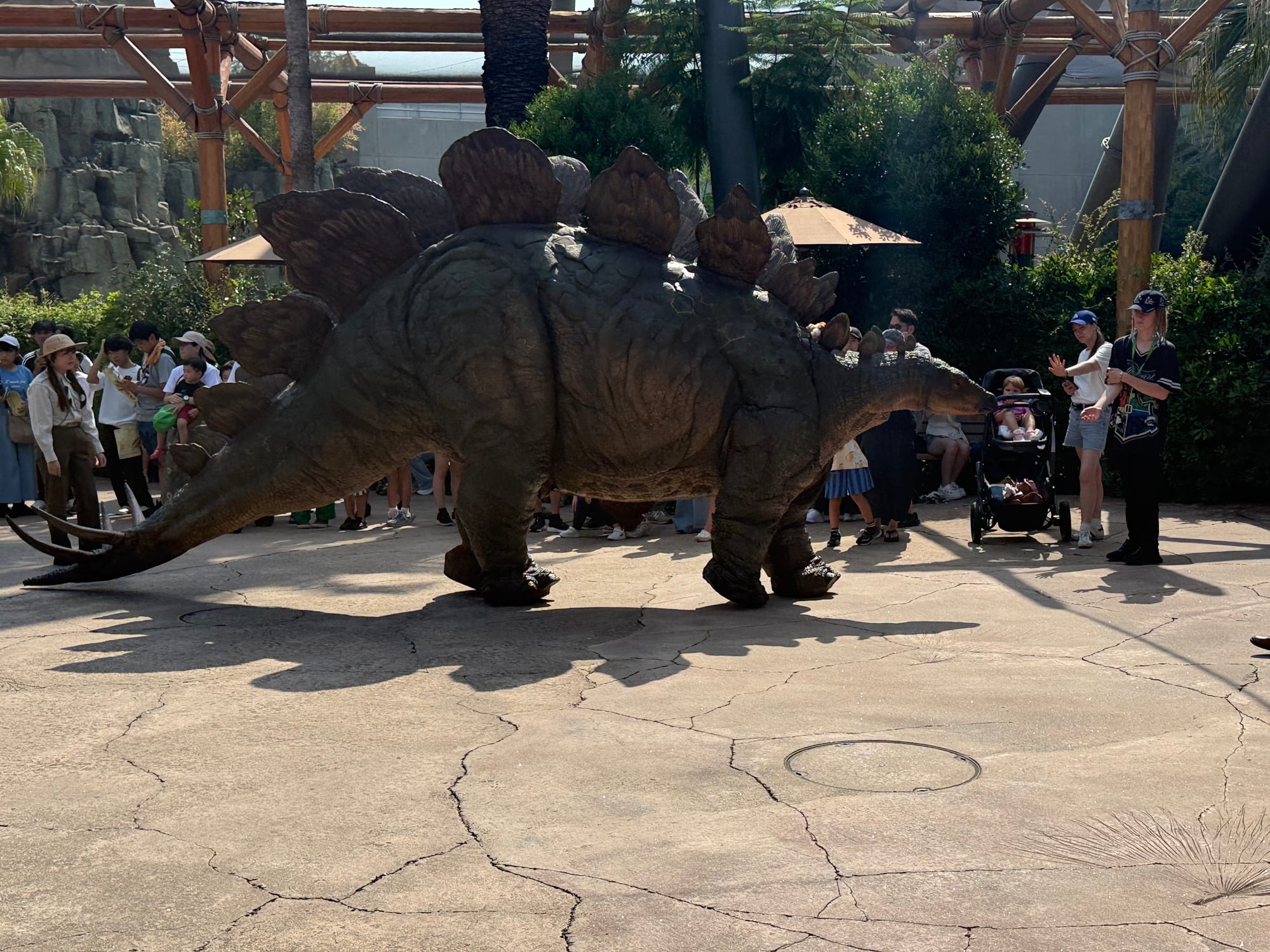 Stegosaurus encounter in Jurassic Park at Universal Studios Japan, with the life-sized dinosaur walking among visitors while team members supervise the interactive experience.