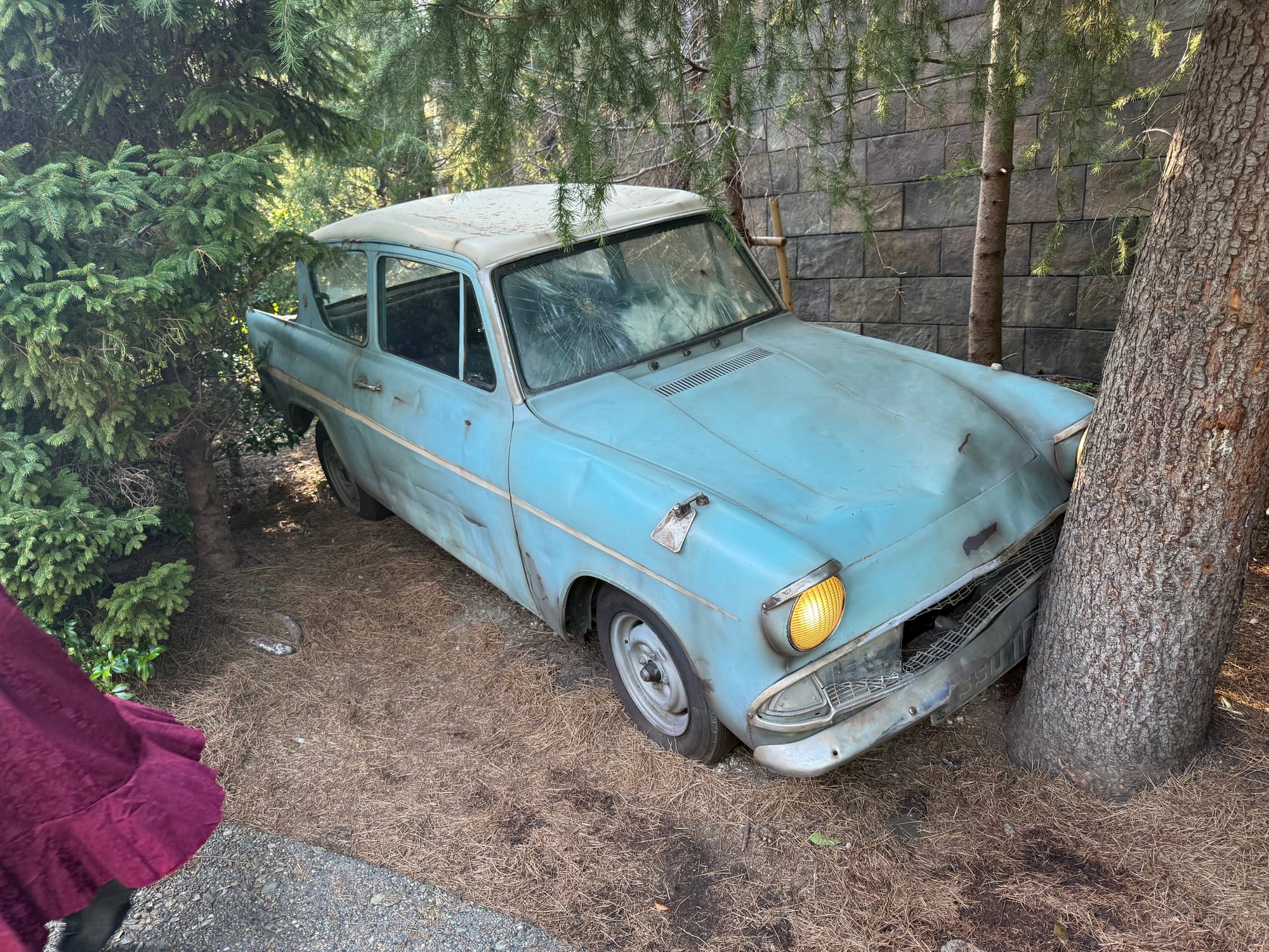 Weathered blue Ford Anglia crashed into a tree in The Wizarding World of Harry Potter at Universal Studios Japan, with a cracked windscreen and dented bodywork.