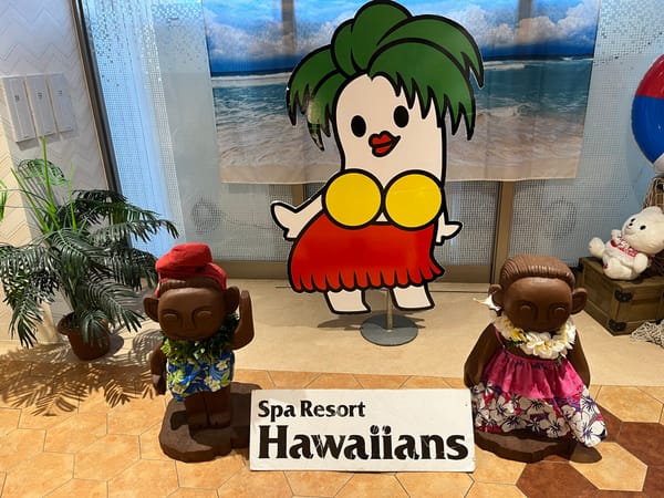Iwaki and Hakodate